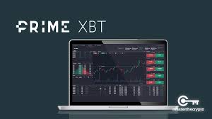 Understanding PrimeXBT Copy Trading for New Investors