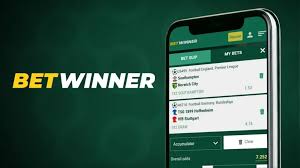 Discover the Features and Benefits of BetWinner App